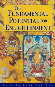 the fundamental potential for enlightenment book cover